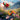 Insects Set 10116