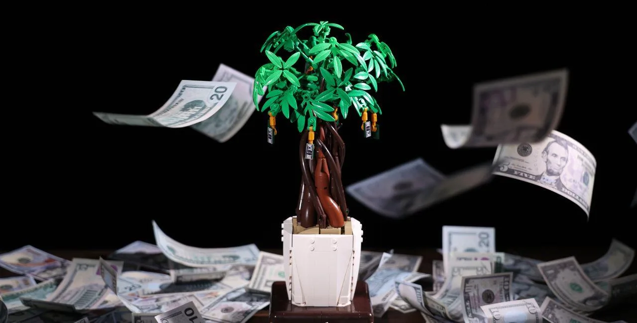 Paper 2024 money tree